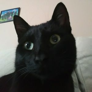 Meet your Posher, Rosa